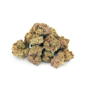 DJ Short Blueberry (mediums) AA bgbso DJ Short Blueberry (mediums) AA bgbso