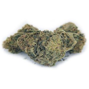 Donkey Kong AA (3) Donkey Kong AA (3)