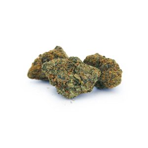 Dr. Bubba AA bgbso Dr. Bubba AA bgbso