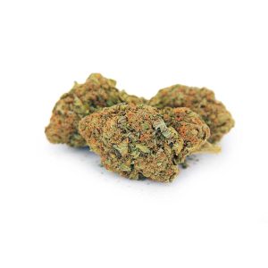 Durban Poison AA bgbso Durban Poison AA bgbso