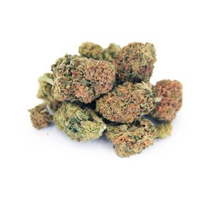 Dutch Treat AA bgbso Dutch Treat AA bgbso