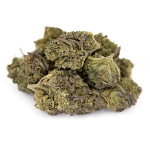 Flowerbomb AA (1) copy Flowerbomb AA (1) copy