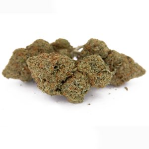 Gas Mask AA+ (1) copy Gas Mask AA+ (1) copy