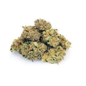 Girl Scout Cookies (mediums) AA bgbso