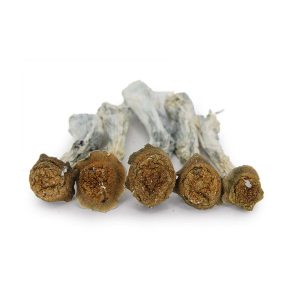 Makilla Gorilla bgbso