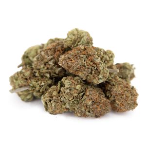 ds singles with pro plugin